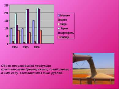 Объем производимой продукции крестьянскими (фермерскими) хозяйствами в 2006 г...