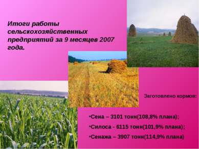 Итоги работы сельскохозяйственных предприятий за 9 месяцев 2007 года. Сена – ...