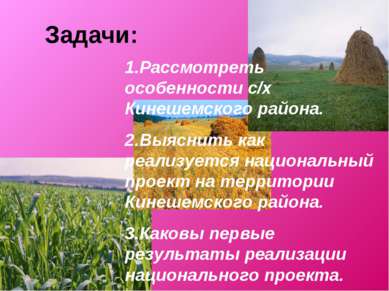 Задачи: 1.Рассмотреть особенности с/х Кинешемского района. 2.Выяснить как реа...