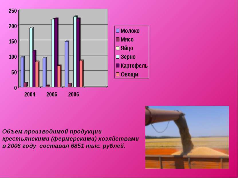 Объем производимой продукции крестьянскими (фермерскими) хозяйствами в 2006 г...