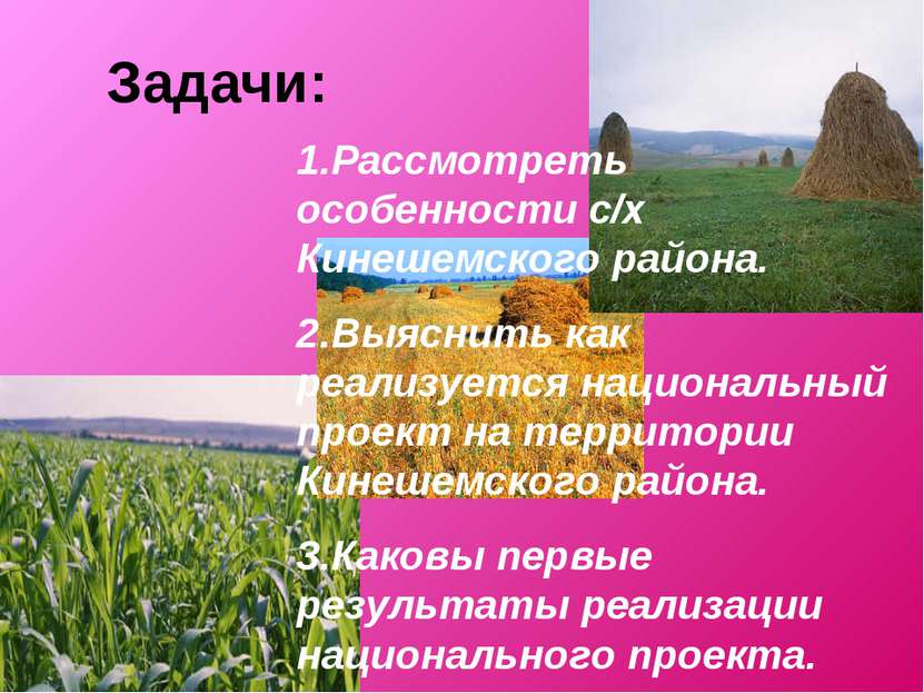 Задачи: 1.Рассмотреть особенности с/х Кинешемского района. 2.Выяснить как реа...