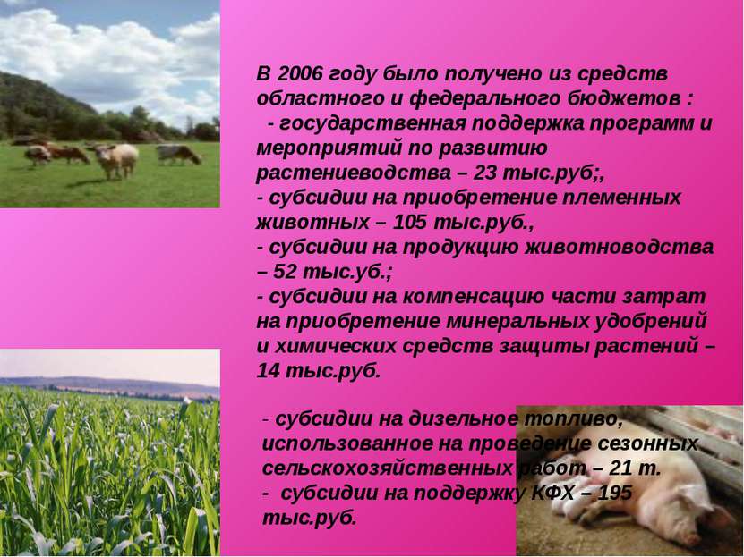 В 2006 году было получено из средств областного и федерального бюджетов : - г...