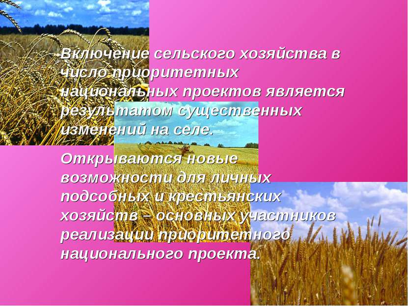 Включение сельского хозяйства в число приоритетных национальных проектов явля...