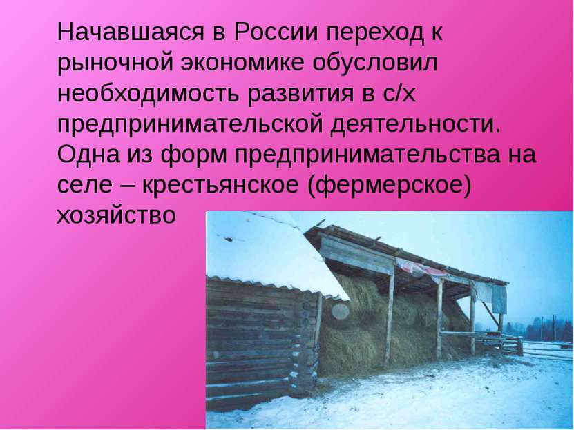 Начавшаяся в России переход к рыночной экономике обусловил необходимость разв...