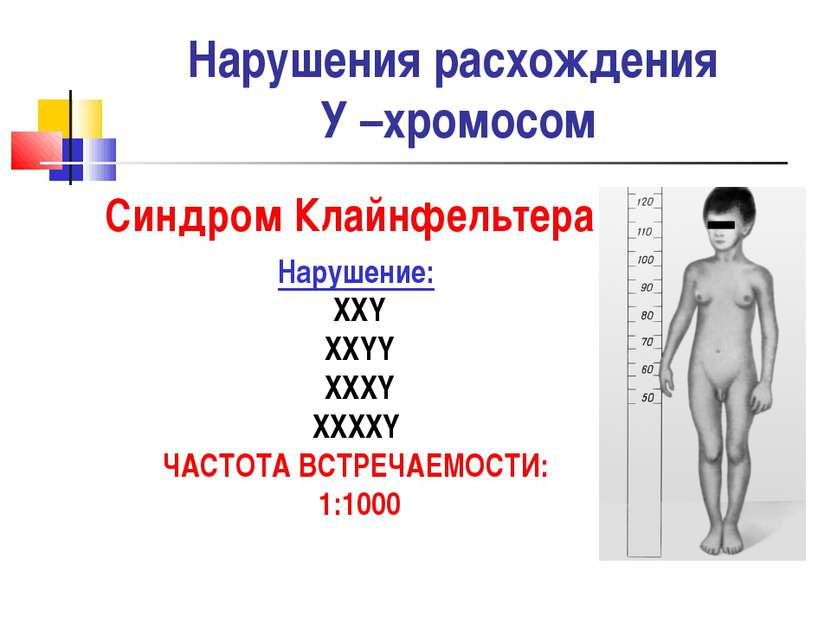 Нарушения расхождения У –хромосом Синдром Клайнфельтера Нарушение: XXY XXYY X...