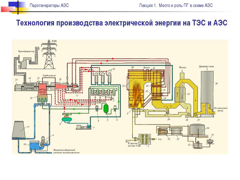 Технология производства электрической энергии на ТЭС и АЭС Парогенераторы АЭС...