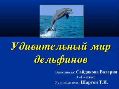 Удивительный мир дельфинов Выполнила: Сайдякова Валерия 3 «Г» класс Руководит...