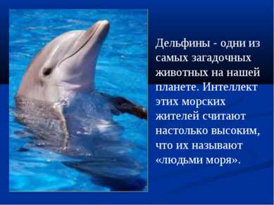 Дельфины - одни из самых загадочных животных на нашей планете. Интеллект этих...