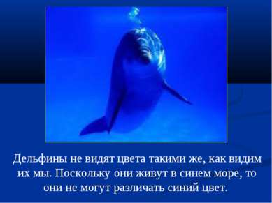 Дельфины не видят цвета такими же, как видим их мы. Поскольку они живут в син...
