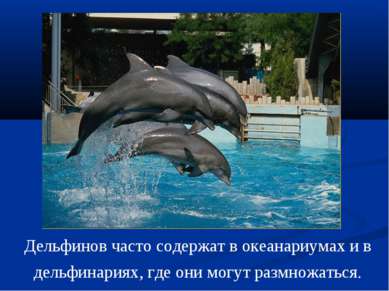 Дельфинов часто содержат в океанариумах и в дельфинариях, где они могут размн...