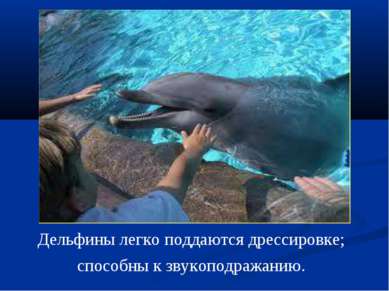 Дельфины легко поддаются дрессировке; способны к звукоподражанию.