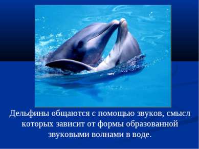 Дельфины общаются с помощью звуков, смысл которых зависит от формы образованн...
