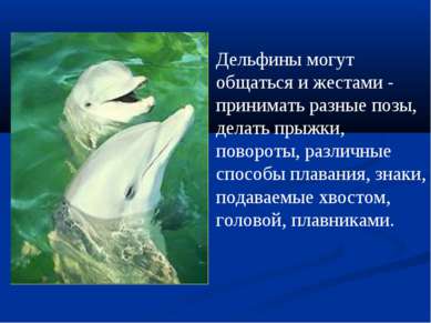 Дельфины могут общаться и жестами - принимать разные позы, делать прыжки, пов...