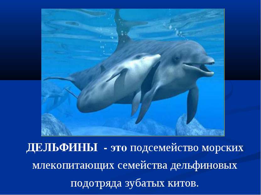 ДЕЛЬФИНЫ - это подсемейство морских млекопитающих семейства дельфиновых подот...