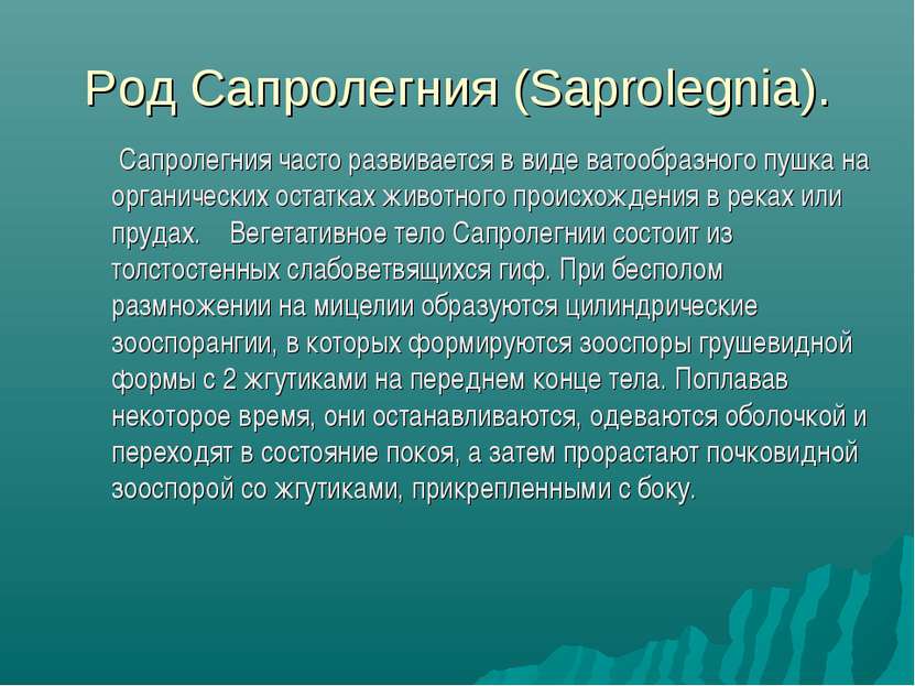 Род Сапролегния (Saprolegnia). Сапролегния часто развивается в виде ватообраз...