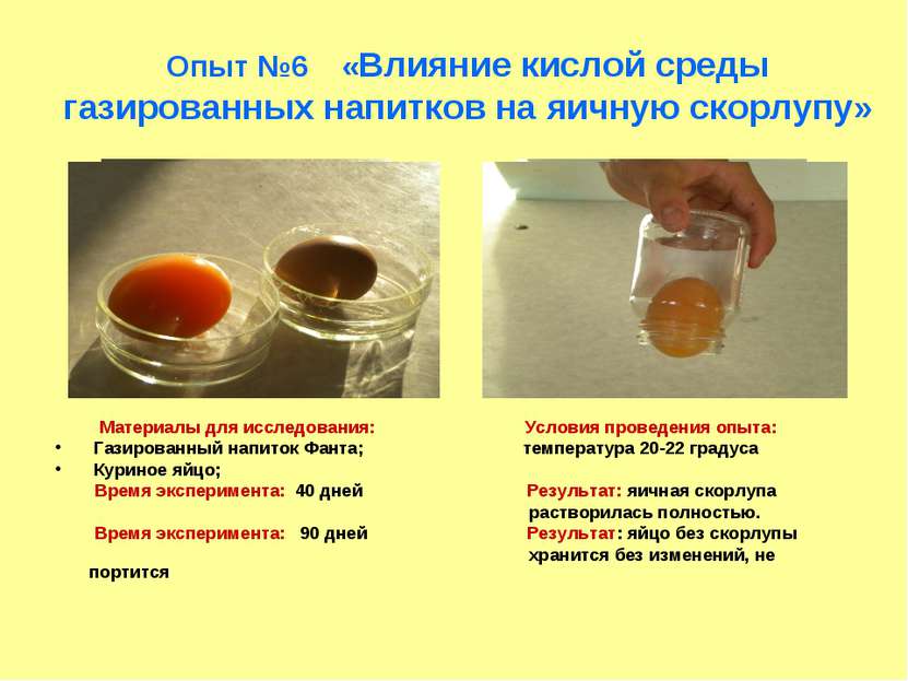 Опыт №6 «Влияние кислой среды газированных напитков на яичную скорлупу» Матер...