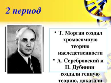 2 период Т. Морган создал хромосомную теорию наследственности А. Серебровский...