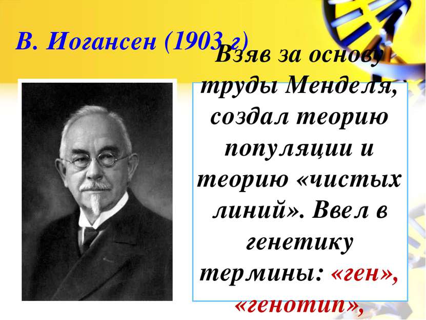 В. Иогансен (1903 г) Взяв за основу труды Менделя, создал теорию популяции и ...