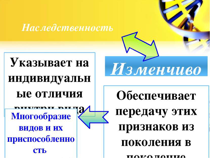 Наследственность Изменчивость Указывает на индивидуальные отличия внутри вида...