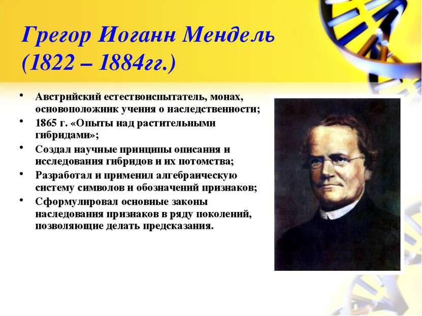 Грегор Иоганн Мендель (1822 – 1884гг.) Австрийский естествоиспытатель, монах,...