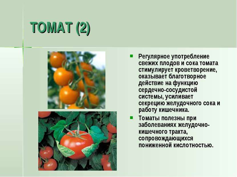 ТОМАТ (2) Регулярное употребление свежих плодов и сока томата стимулирует кро...