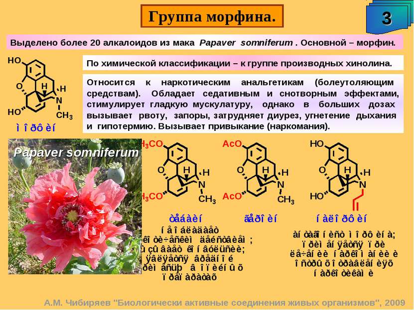 Группа морфина. 3 А.М. Чибиряев "Биологически активные соединения живых орган...
