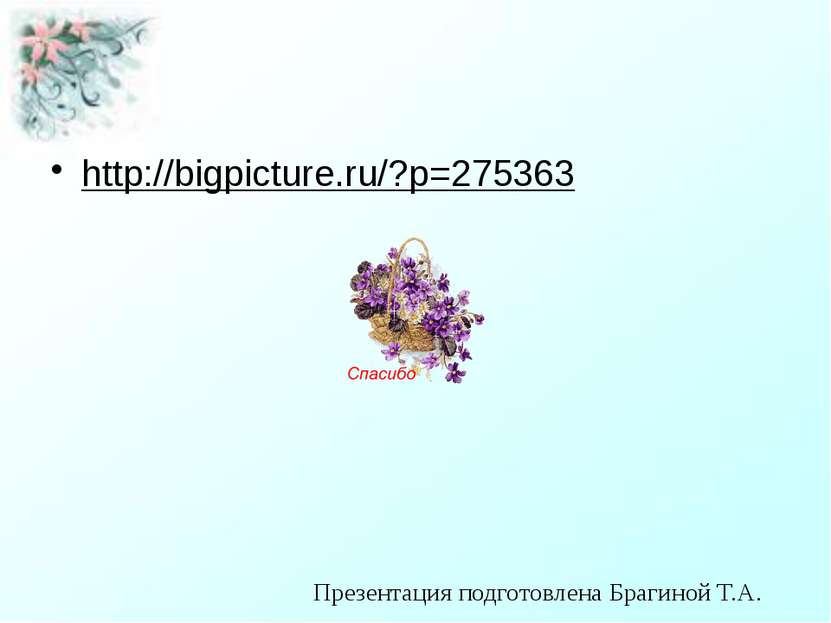 http://bigpicture.ru/?p=275363 Презентация подготовлена Брагиной Т.А.