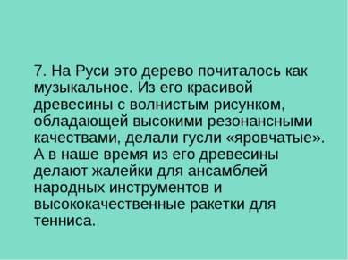 7. На Руси это дерево почиталось как музыкальное. Из его красивой древесины с...