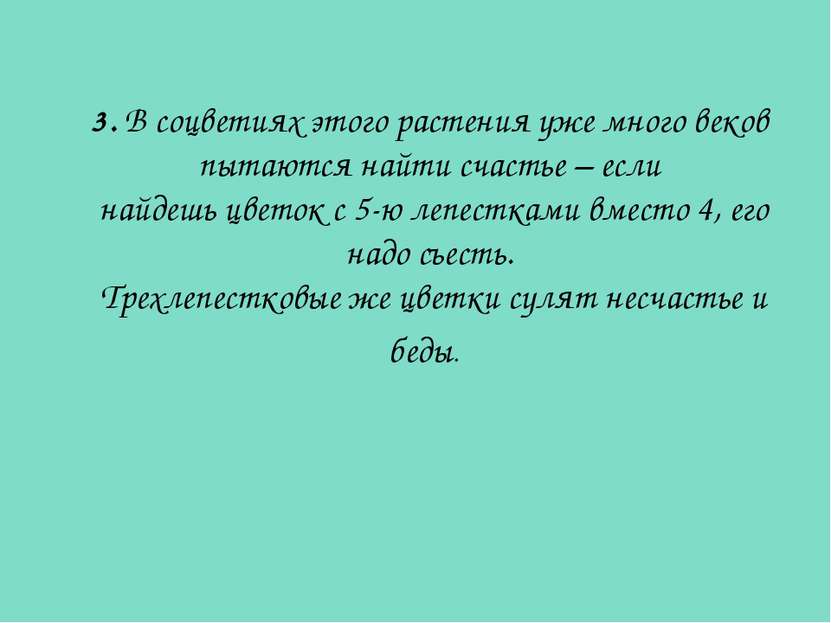 3. В соцветиях этого растения уже много веков пытаются найти счастье – если н...