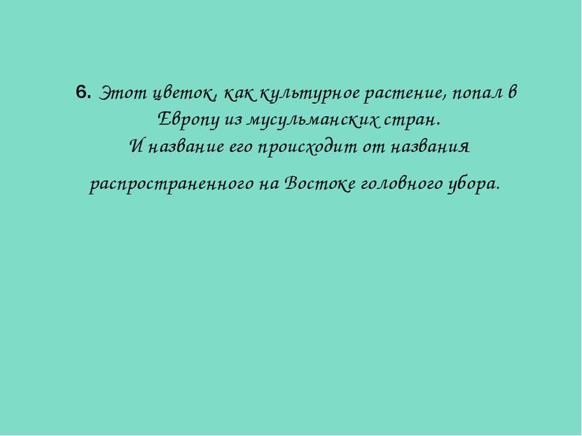 6. Этот цветок, как культурное растение, попал в Европу из мусульманских стра...