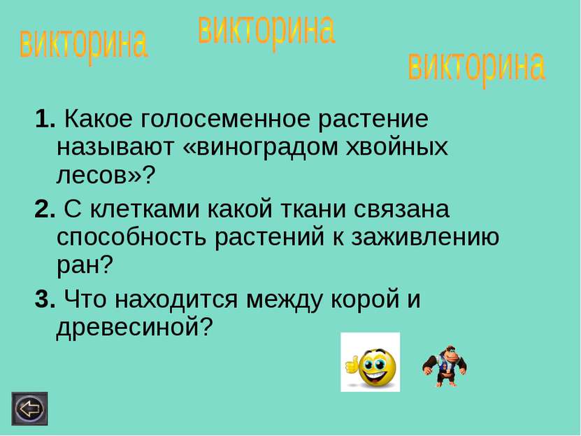 1. Какое голосеменное растение называют «виноградом хвойных лесов»? 2. С клет...