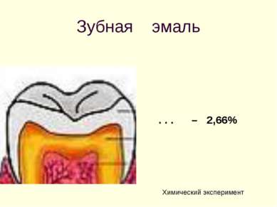 Зубная эмаль . . . – 2,66% Химический эксперимент