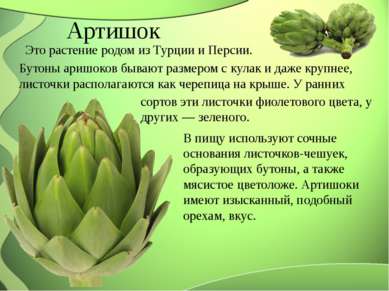 Артишок Это растение родом из Турции и Персии. Бутоны аришоков бывают размеро...