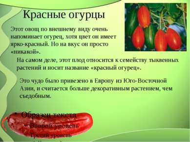 Красные огурцы Этот овощ по внешнему виду очень напоминает огурец, хотя цвет ...