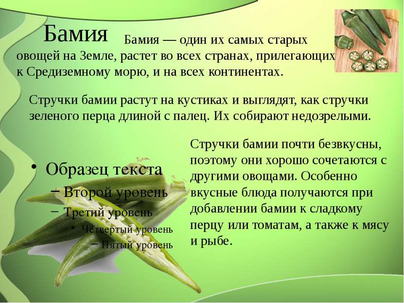 Бамия Бамия — один их самых старых овощей на Земле, растет во всех странах, п...