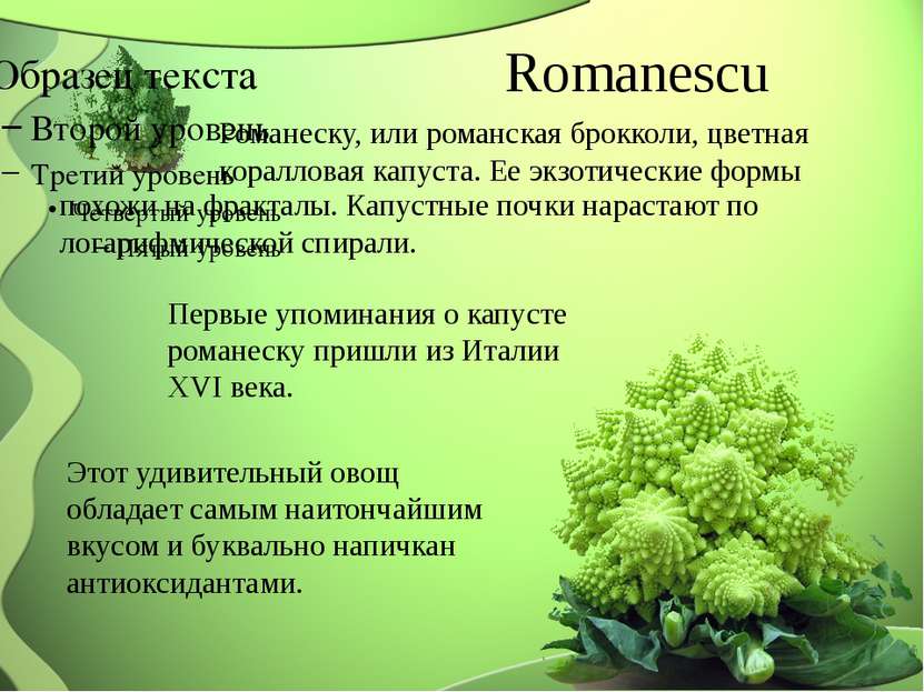Romanescu Романеску, или романская брокколи, цветная коралловая капуста. Ее э...