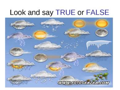 Look and say TRUE or FALSE