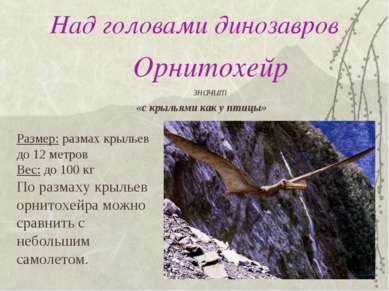 Над головами динозавров Орнитохейр значит «с крыльями как у птицы» Размер: ра...