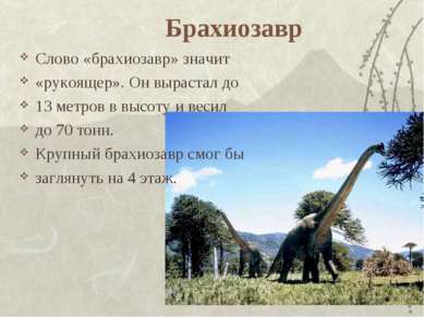 Брахиозавр Слово «брахиозавр» значит «рукоящер». Он вырастал до 13 метров в в...