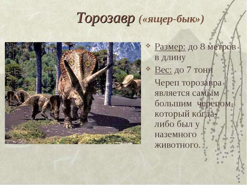 Торозавр («ящер-бык») Размер: до 8 метров в длину Вес: до 7 тонн Череп тороза...