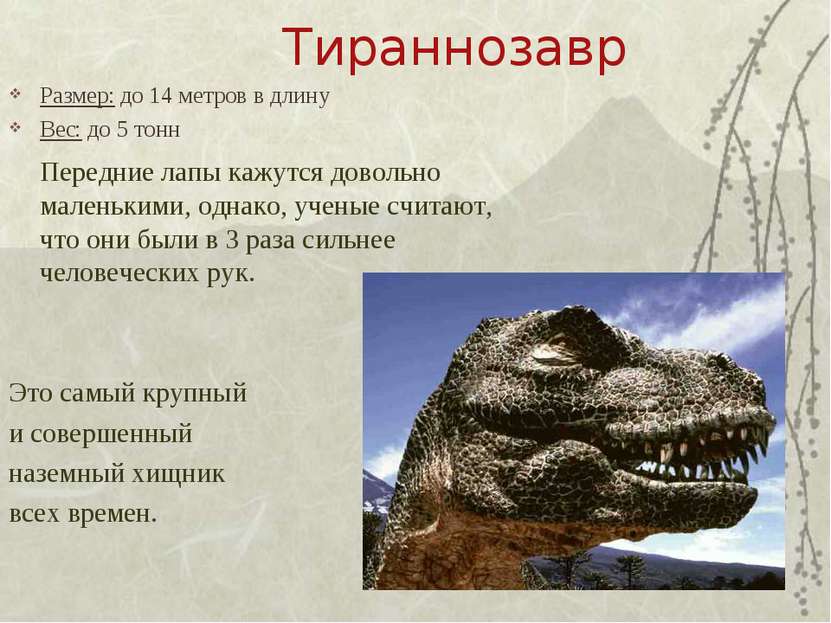 Тираннозавр Размер: до 14 метров в длину Вес: до 5 тонн Передние лапы кажутся...