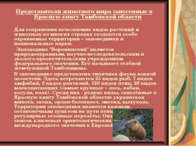 Представители животного мира занесенные в Красную книгу Тамбовской области Дл...