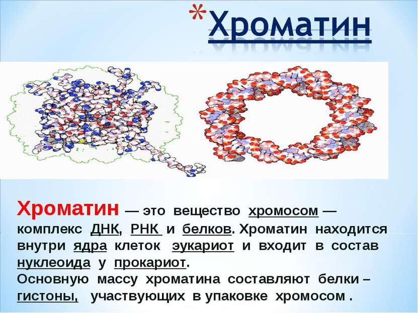 Хроматин — это вещество хромосом — комплекс ДНК, РНК и белков. Хроматин наход...