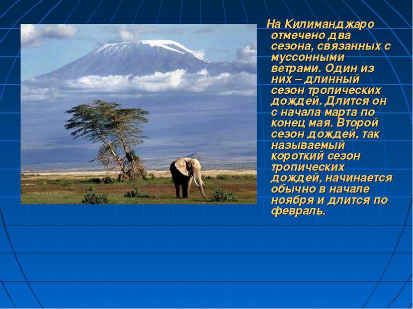 На Килиманджаро отмечено два сезона, связанных с муссонными ветрами. Один из ...