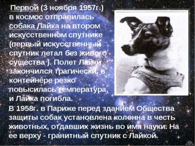 Первой (3 ноября 1957г.) в космос отправилась собака Лайка на втором искусств...