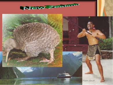 New Zealanders, who are also known as “Kiwis”, are relaxed people who love th...