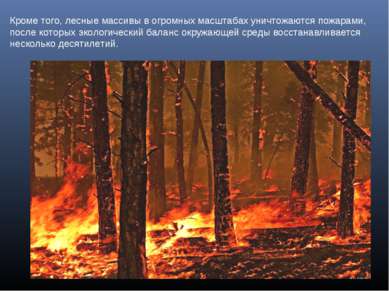 Кроме того, лесные массивы в огромных масштабах уничтожаются пожарами, после ...