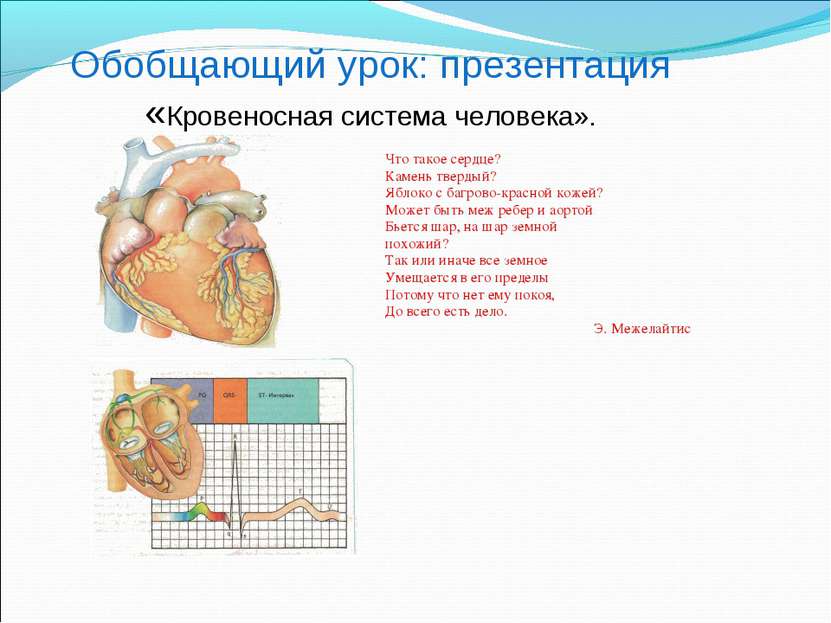 Обобщающий урок: презентация «Кровеносная система человека». Что такое сердце...