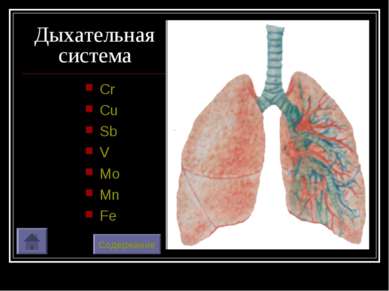 Дыхательная система Cr Cu Sb V Mo Mn Fe Содержание