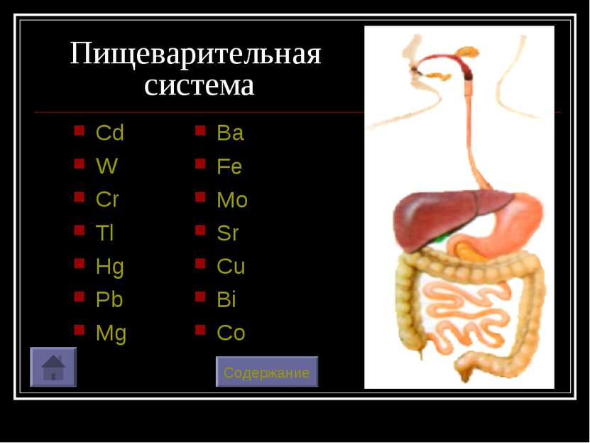 Пищеварительная система Cd W Cr Tl Hg Pb Mg Содержание Ba Fe Mo Sr Cu Bi Co
